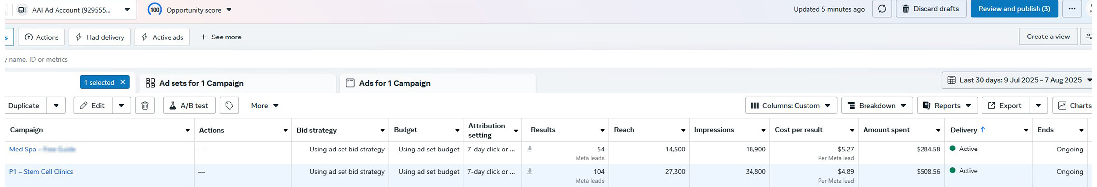 Meta Ads dashboard showing Med Spa and Stem Cell Clinics campaigns with lead metrics